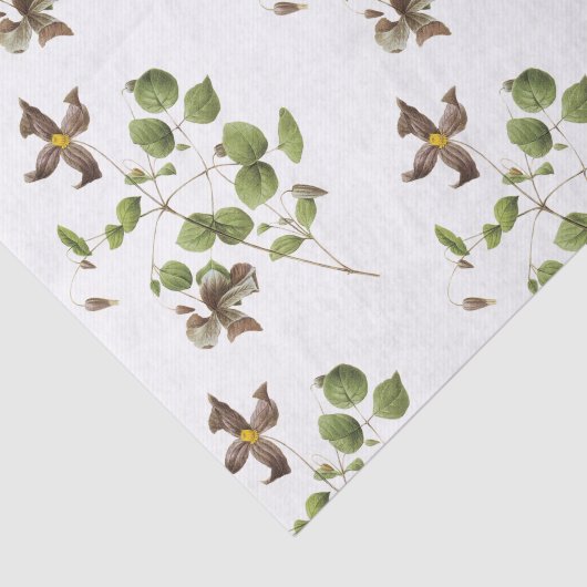 Clematis Blume Pattern Seidenpapier (Ausschnitt)