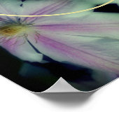 Clematis Blume Petals Abstrakt Foto hinzufügen Poster (Ecke)