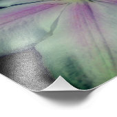 Clematis Blume Petals Up Nah 8x10 Fotodruck (Ecke)
