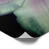 Clematis Blume Petals Up Nah Poster (Ecke)