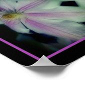 Clematis Blume Petals Up Nah Up Abstrakt Poster (Ecke)