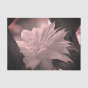 Clematis Blume Schwarz-Weiß-Vintage Decoupage Seidenpapier