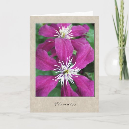 Clematis - Blumen-Reihe Karte (Vorderseite)