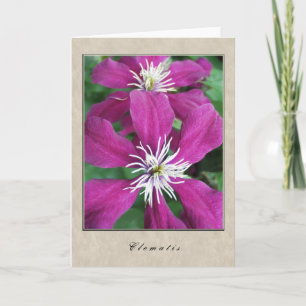 Clematis - Blumen-Reihe Karte