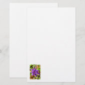 CLEMATIS BRIEFPAPIER (Vorne/Hinten)