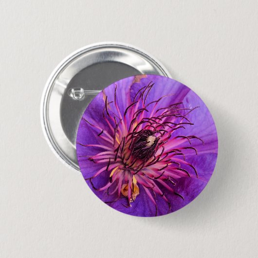 CLEMATIS BUTTON (Vorne & Hinten)