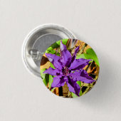 CLEMATIS BUTTON (Vorne & Hinten)