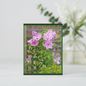 Clematis Cluster Postcard Postkarte (Stehend Vorderseite)