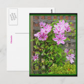 Clematis Cluster Postcard Postkarte (Vorne/Hinten)