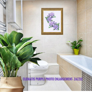 Clematis Erweiterung des Lila Fotos Fotodruck