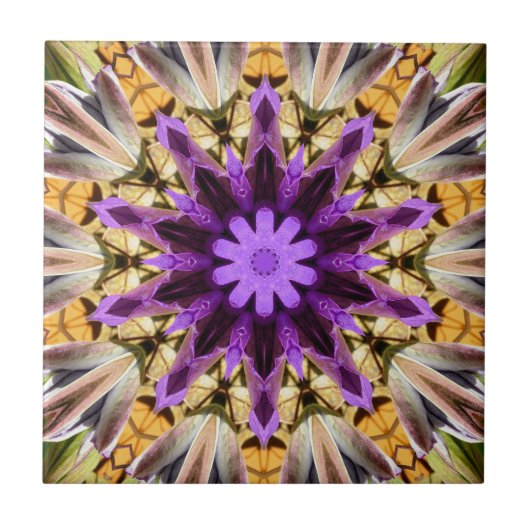 CLEMATIS FLIESE (Vorderseite)