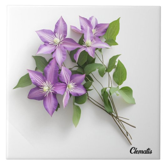 Clematis Fliese (Vorderseite)