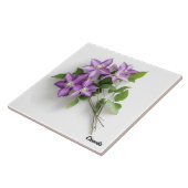 Clematis Fliese (Seite)