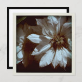 Clematis Floral Fotografy 2 Beerdigung Ankündigung (Vorne/Hinten)