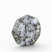 CLEMATIS FOTOBLOCK (Links)