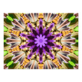 CLEMATIS FOTODRUCK (Vorne)