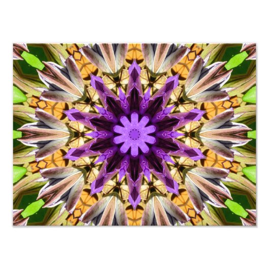 CLEMATIS FOTODRUCK (Vorne)