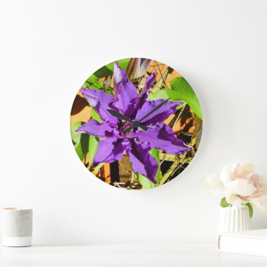 CLEMATIS GROßE WANDUHR (Zuhause)