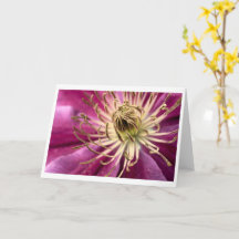 Clematis - Grußkarte