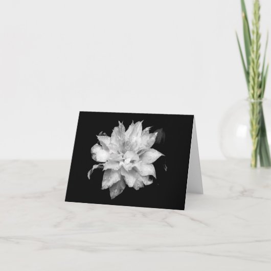 Clematis H 2 Blank Note Card Condolences Beileid Dankeskarte (Vorderseite)