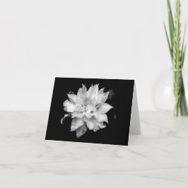 Clematis H 2 Blank Note Card Condolences Beileid Dankeskarte