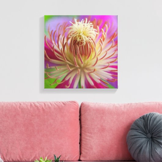 Clematis I Leinwanddruck (Insitu (Wohnzimmer))