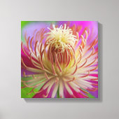 Clematis I Leinwanddruck (Vorderseite)