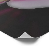 Clematis in rosa Blume Nah Poster (Ecke)