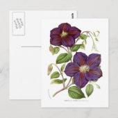 Clematis jackmani postkarte (Vorne/Hinten)