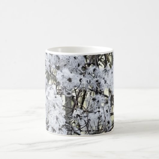 CLEMATIS KAFFEETASSE (Mittel)