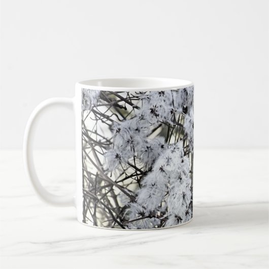 CLEMATIS KAFFEETASSE (Links)