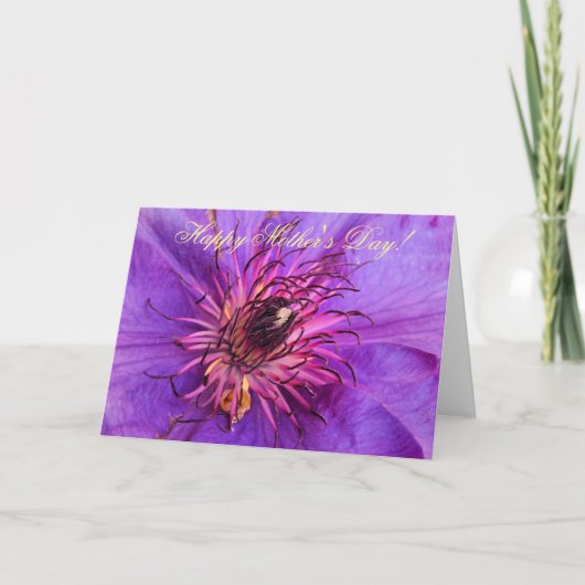 CLEMATIS KARTE (Vorderseite)