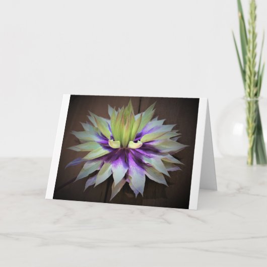 Clematis, Karte (Vorderseite)