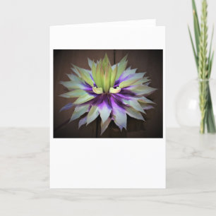 Clematis, Karte