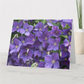 Clematis Karte (Vorderseite)