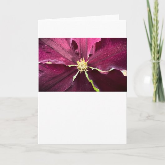Clematis, Karte (Vorderseite)