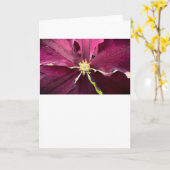 Clematis, Karte (Gelbe Blume)
