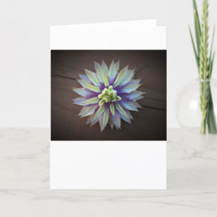 Clematis, Karte