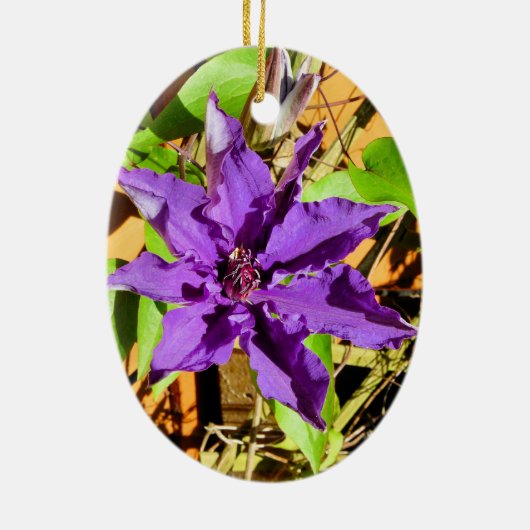 CLEMATIS KERAMIKORNAMENT (Hinten)