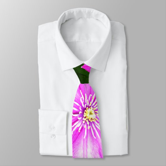 Clematis Krawatte (Gebunden)