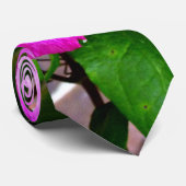 Clematis Krawatte (Gerollt)