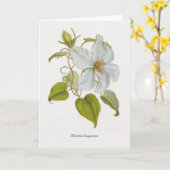 Clematis lanuginosa karte (Gelbe Blume)