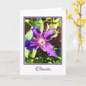Clematis-leere Gruß-Karte Karte (Gelbe Blume)