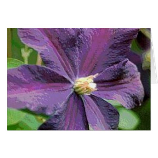 Clematis Lila Blume Card (Vorderseite (Horizontal))