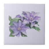 Clematis Lila Fliese (Vorderseite)