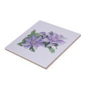 Clematis Lila Fliese (Seite)