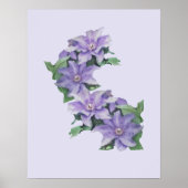 Clematis Lila Poster (Vorne)