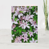 Clematis Lila Vining Blume auf Trellis Blank Karte (Vorderseite)