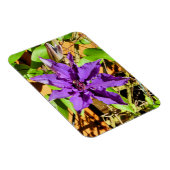 CLEMATIS MAGNET (Rechte Seite)