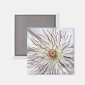 Clematis Magnet (Vorderseite/Rückseite)